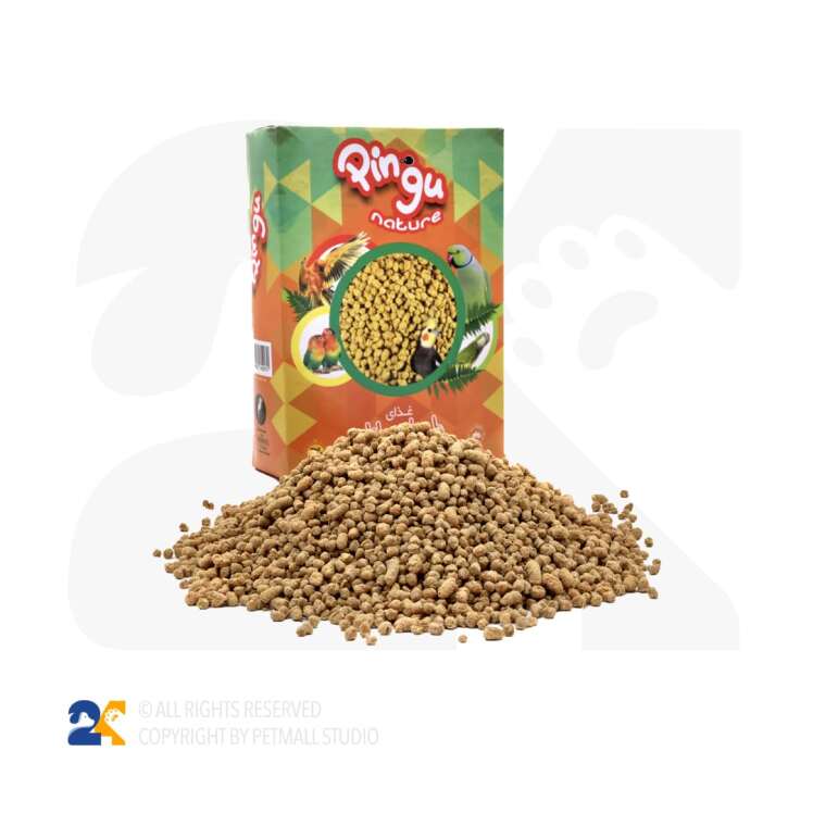 پلت پینگو ریز مناسب طوطی سانان متوسط و کوچک