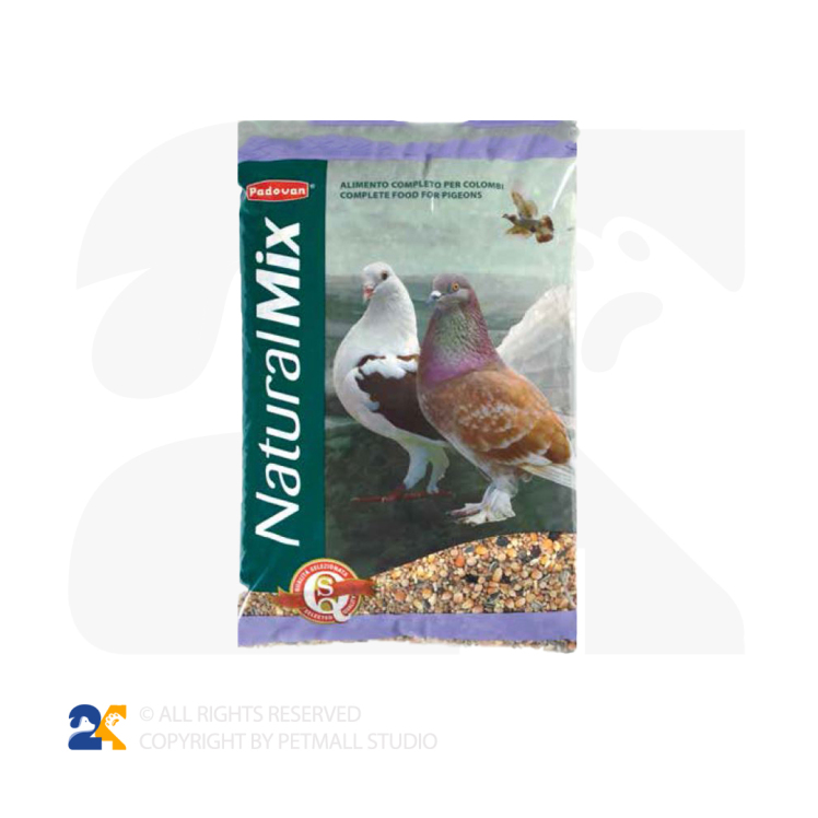 غذای کامل کبوتر پادوان