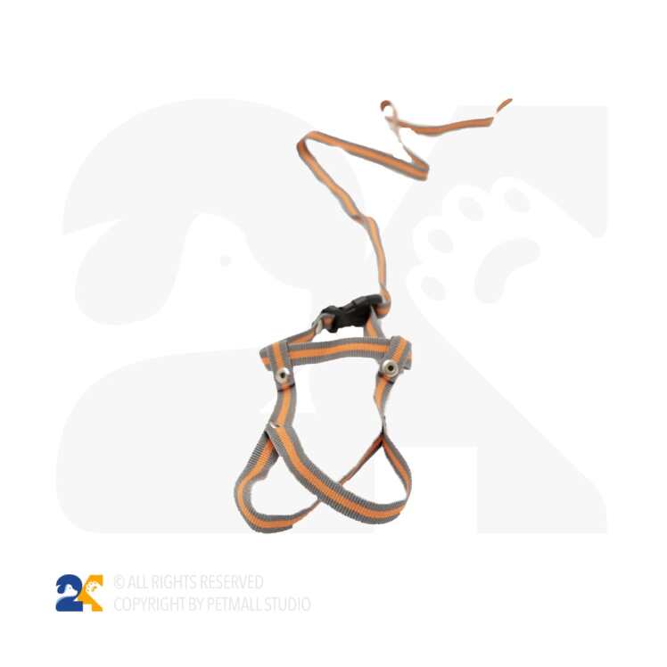 قلاده پرندگان