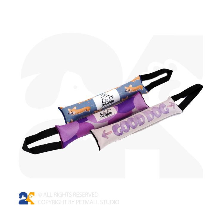 تاگ آموزشی سگ و گربه