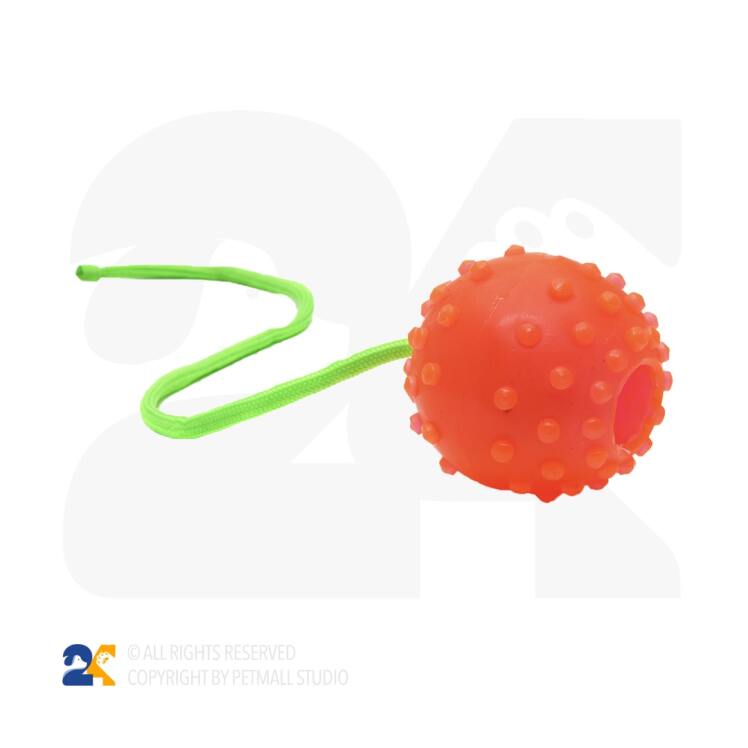 اسباب بازی سگ مدل توپ آموزشی با بند آویز سایز کوچک