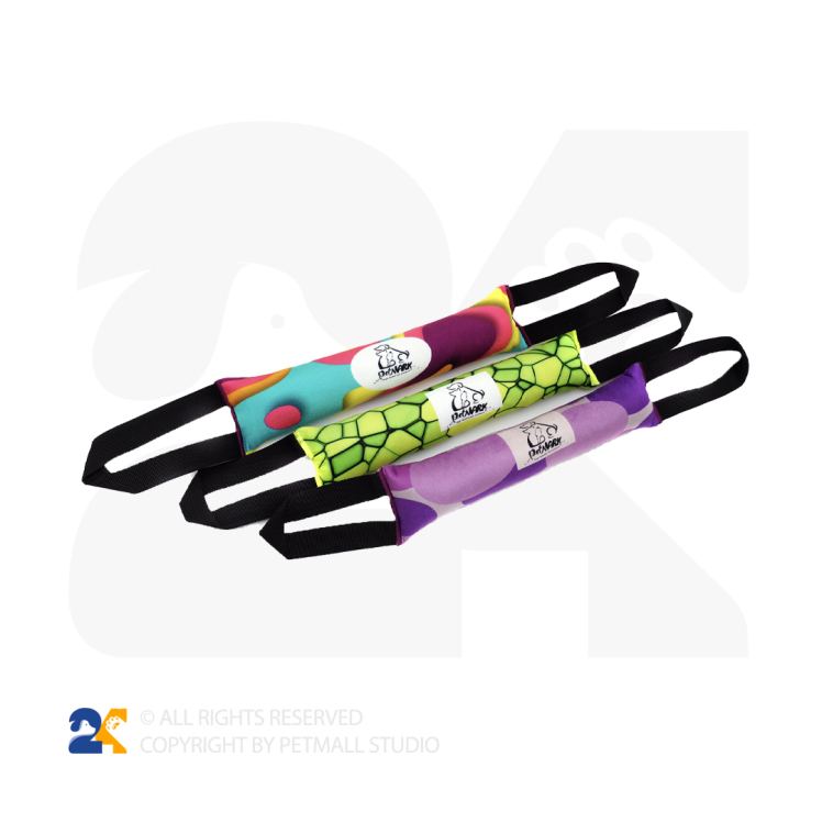 تاگ آموزشی سگ و گربه