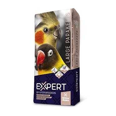 EXPERT LARGE PARAKEET MIDDLE EAST 
