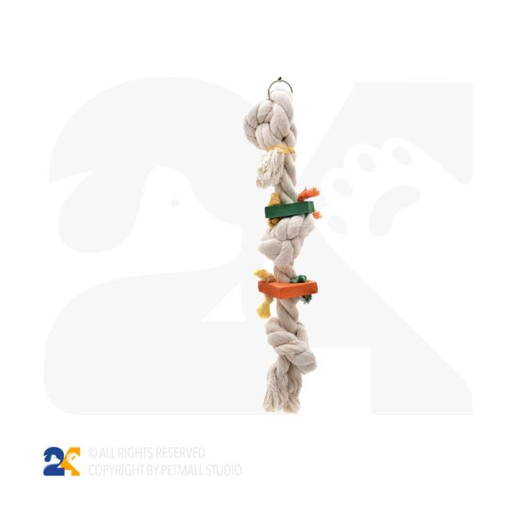 اسباب بازی پرندگان 