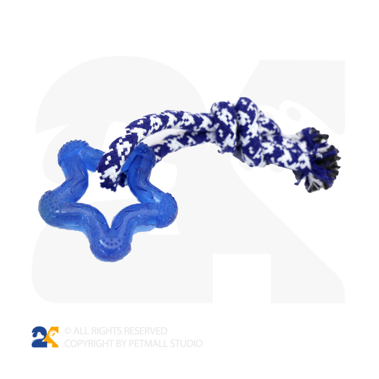 اسباب بازی سگ ستاره و طناب کنفی