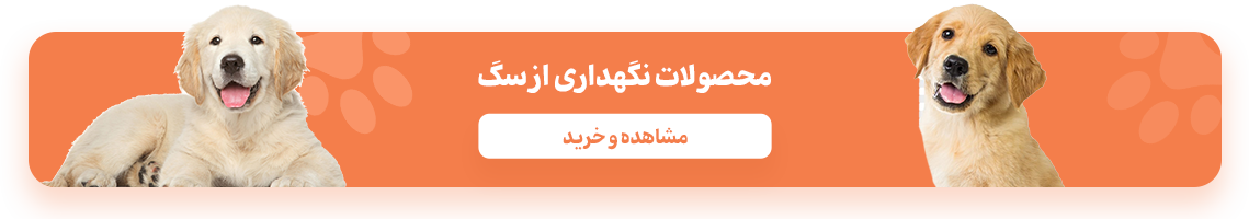 بنر معرفی تشویقی های ونپی
