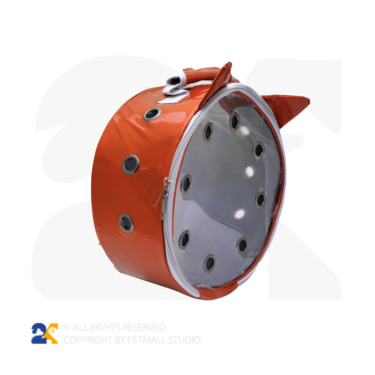 کیف حمل سگ و گربه شبرنگی
