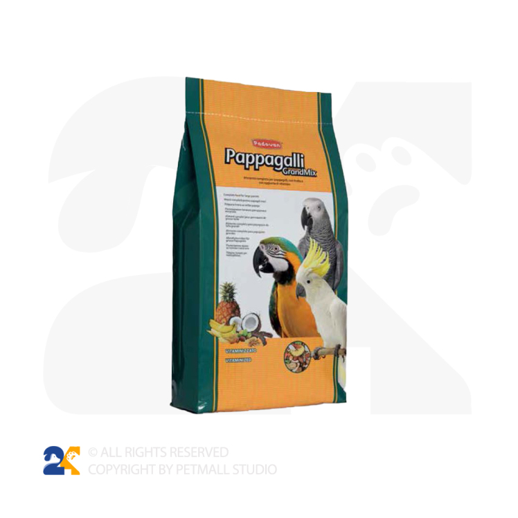 غذای طوطی پادوان