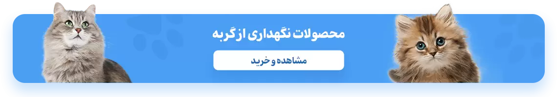 بنر معرفی تشویقی های ونپی