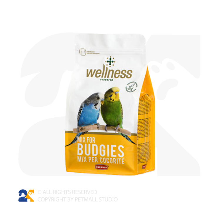 غذای مرغ عشق پادوان 