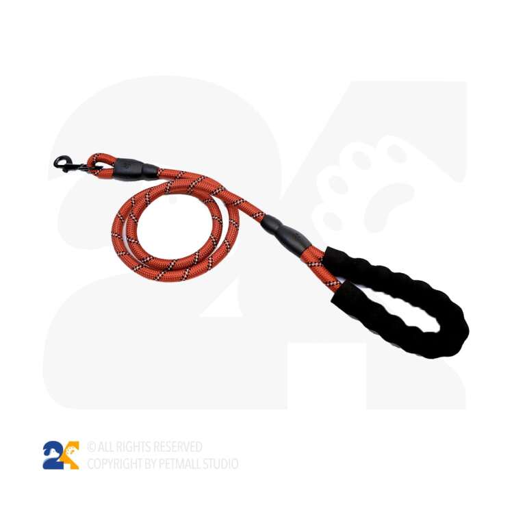 بند قلاده سگ