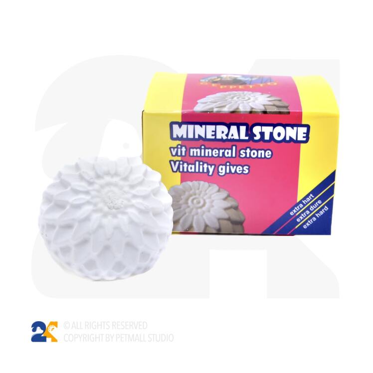 سنگ کلسیم پرنده