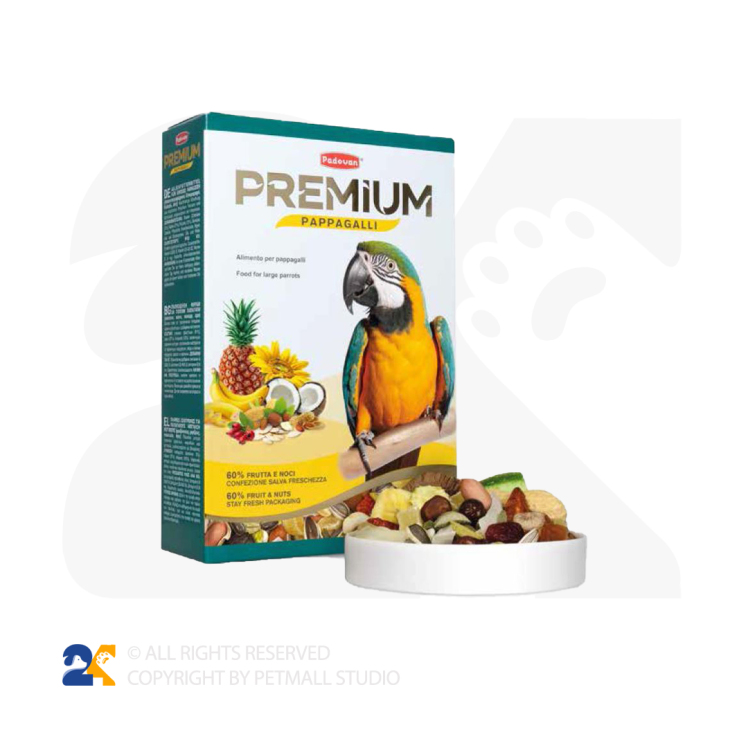 غذای کامل طوطی بزرگ پادوان