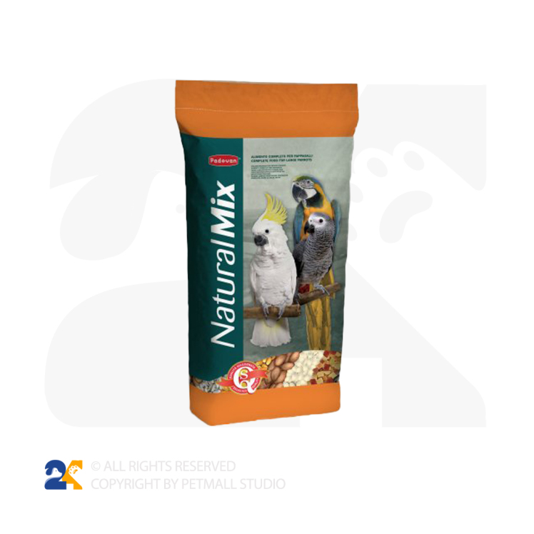 غذای طوطی های بزرگ پادوان