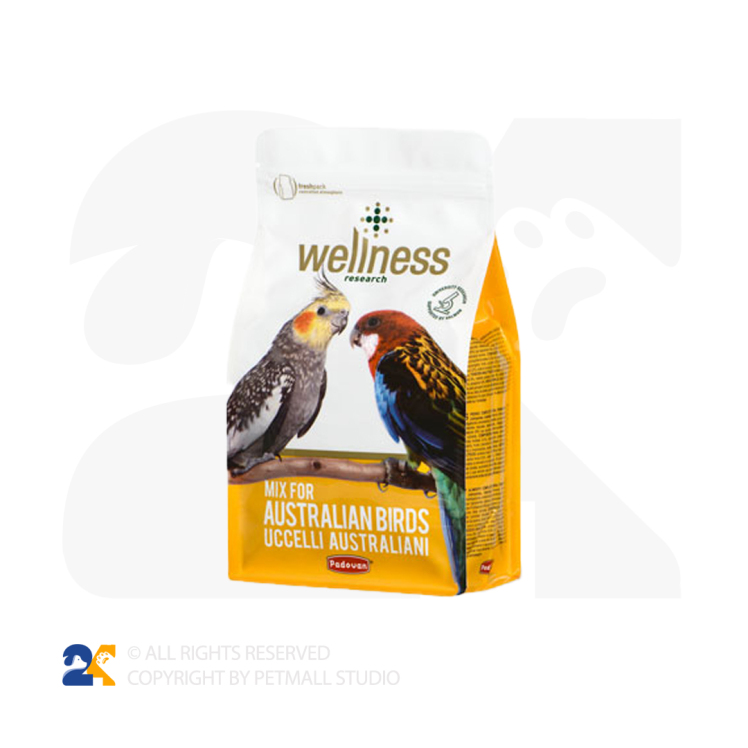 غذای عروس هلندی پادوان 