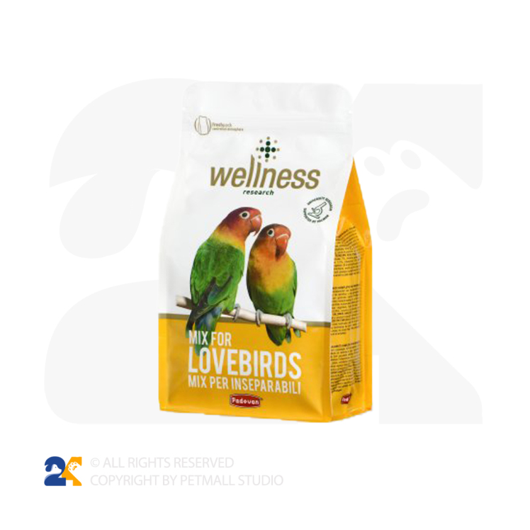 غذای طوطی برزیلی پادوان