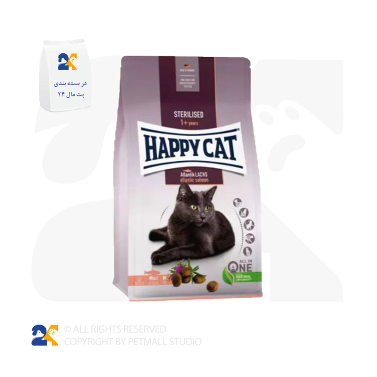 غذای خشک گربه هپی کت با طعم گوشت بره