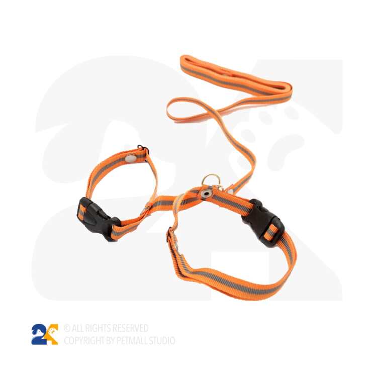 قلاده بدنی خرگوش