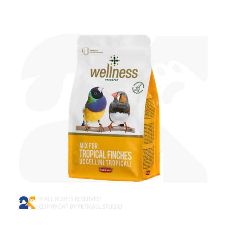 غذای سوپر پریمیوم فنچ