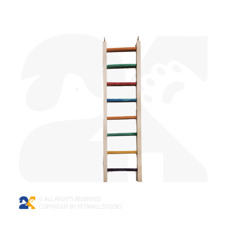 اسباب بازی نردبان پرندگان