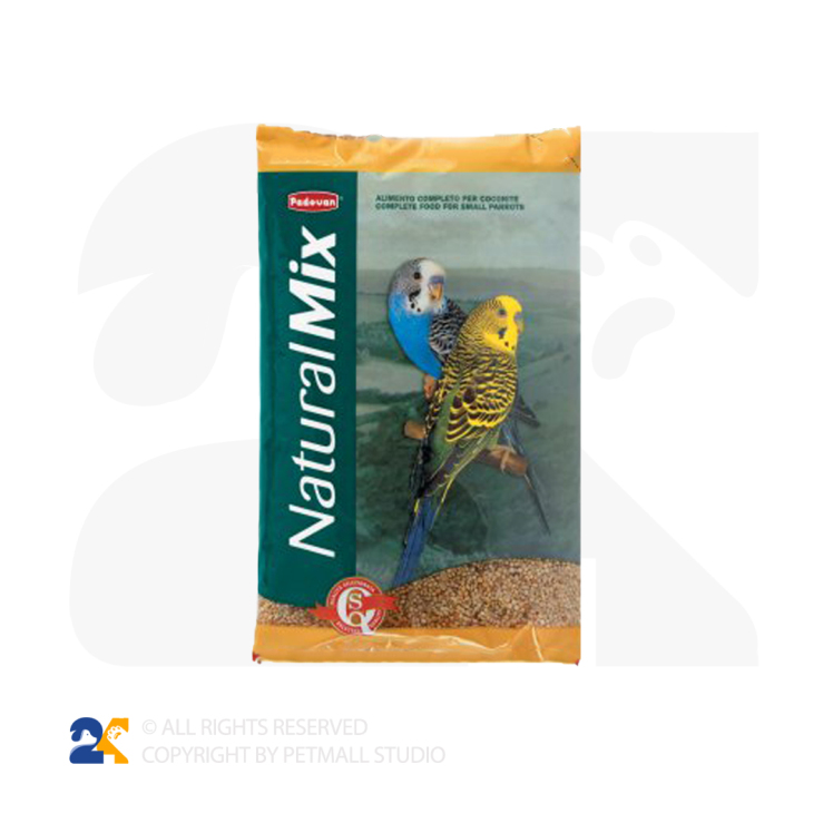 غذای طوطی های کوچک پادوان