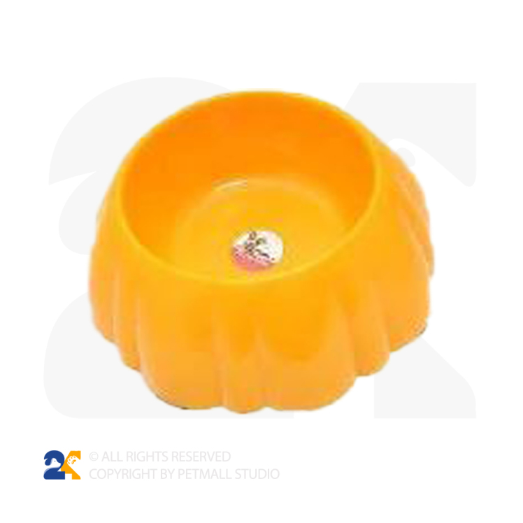 ظرف غذای سگ و گربه