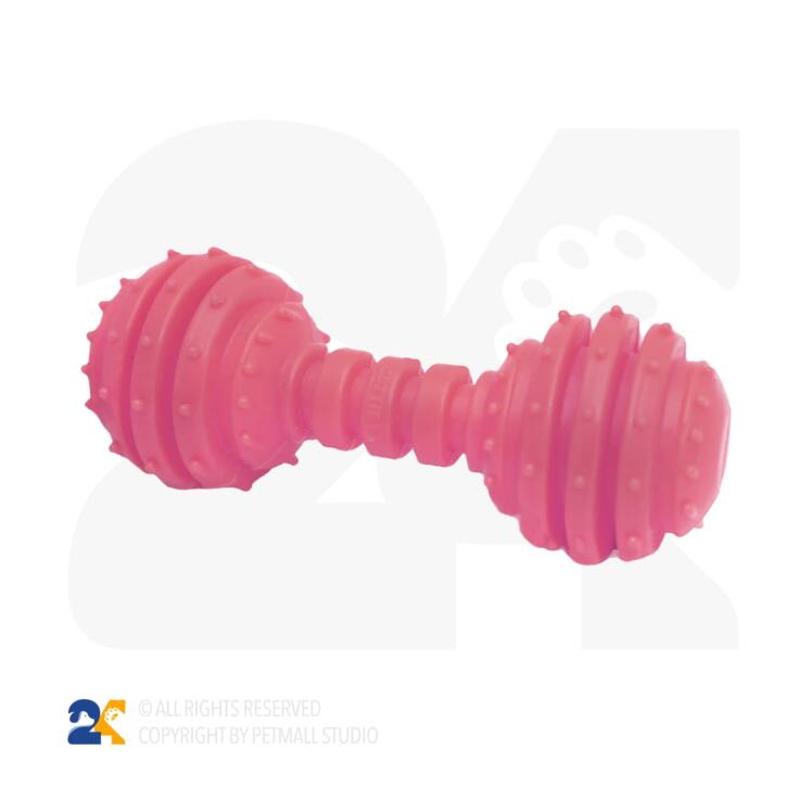 اسباب بازی دندانی سگ مدل دمبل