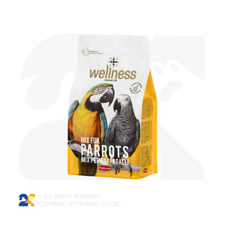 غذای طوطی و کاسکو پادوان