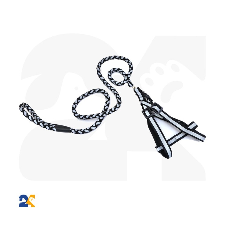 قلاده تنی سگ با لیش شبرنگ